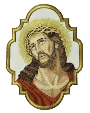 Applicazione AP406620