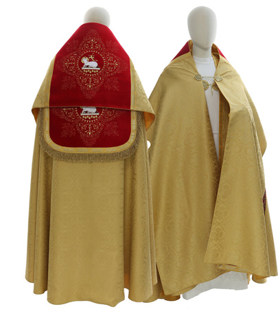 Voile huméral W17AGC25