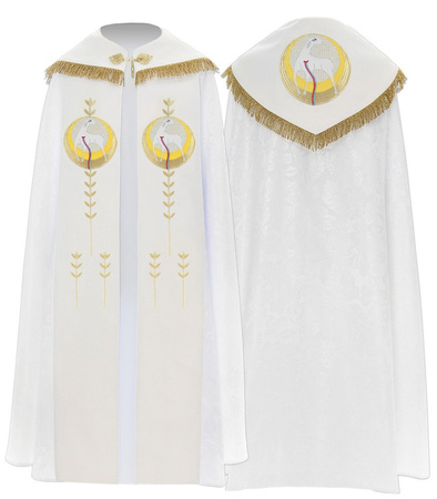 Piviale gotico K788B20f