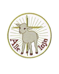 Applicazione AP4022320